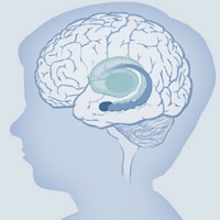 Center on the Developing Child at Harvard University Logo