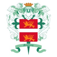 Neuling Graneles S.A. Logo