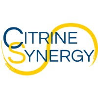 Citrine Synergy Inc. Logo