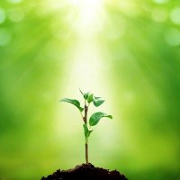 New Beginnings Community Church Logo