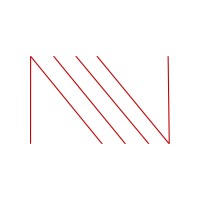 The Ness Group Logo