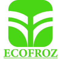 ECOFROZ S.A. Logo