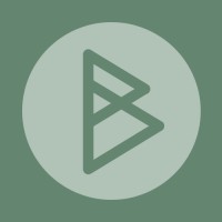 The Babes Project Logo