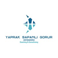 YSG & Associates Coaching and Consultancy Logo