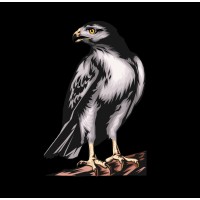 Hawkins & Associates Engineering, Inc. Logo