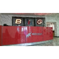 Big Media Signs Logo