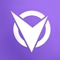 Team Visionary Logo