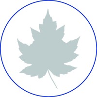 Silver Leaf SWPPP Logo