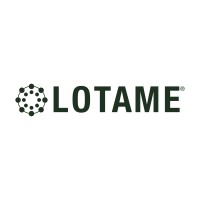 Lotame Logo