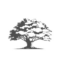 Tree Consulting Logo