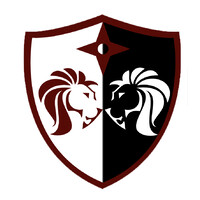 Cyber Defense International Logo