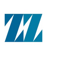 ZZ Consulting, P.A. Logo