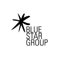 Blue Star Group (BSG) Logo