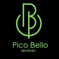 Pico Bello services Logo