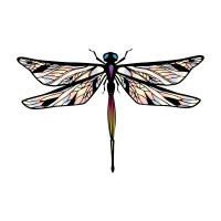 Dragonfly Bay Garlic Company Logo