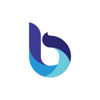 Broadflow Logo
