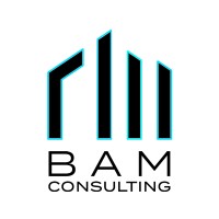 BAM Consulting Logo