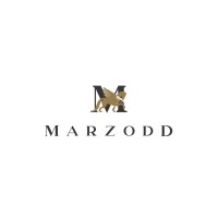 Marzodd Logo