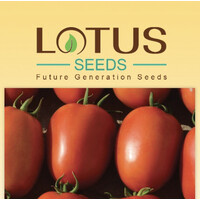 lotus seeds Logo