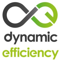 Dynamic Efficiency Logo