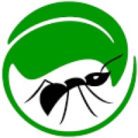 Neovica Ltd Logo