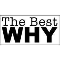 The Best Why Logo