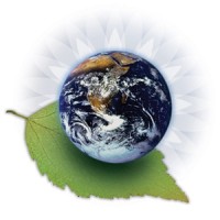 Vital Solutions, LLC (Florida) Logo