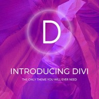 Divi Theme Experts Logo