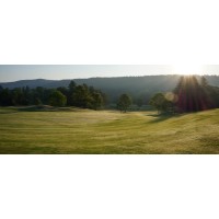 Sara Barrett Consulting Logo