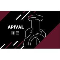 Aplicación Inteligente de Válvulas / APIVAL Logo