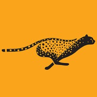 CheetahIQ Logo