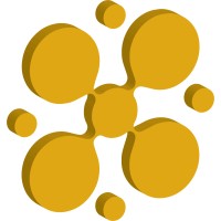 Nissi Technology Enterprises Inc Logo