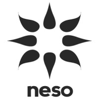Neso LLC Logo