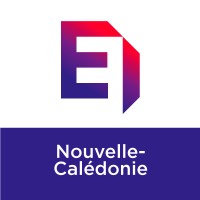 MEDEF NC - Mouvement des Entreprises de Nouvelle-Calédonie Logo