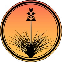 SoapTree Media Logo