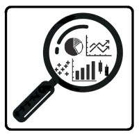 Data Detectives Logo