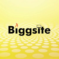 Biggsite Logo