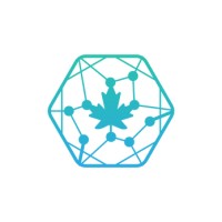 Canadian Blockchain Association for Women (CBAW) Logo