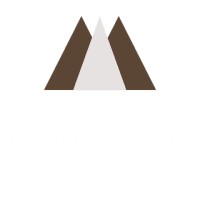 Pinnacle Biz Group, LLC Logo