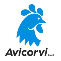 Avicorvi Logo