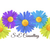 S&E Consulting, LLC Logo