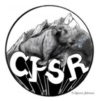 University of Colorado Political Science Review Logo