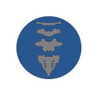 Drew Brown IV, MD, FAAOS Logo