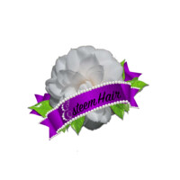 Esteem Hair Extensions Logo