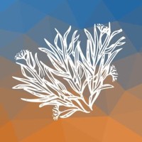 WHR Allied Health Logo