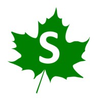 Singular Solutions Group Logo