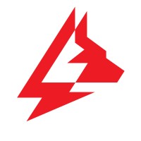 AMAROK Security Logo