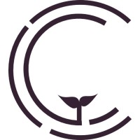 Clearstituent Logo