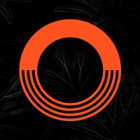 OMNI Creative & Digital Marketing Agency Logo