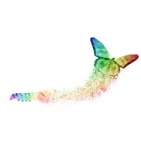 Transformation In Action CIC Logo